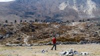 Thukla memorial and a Trekker in Everest region