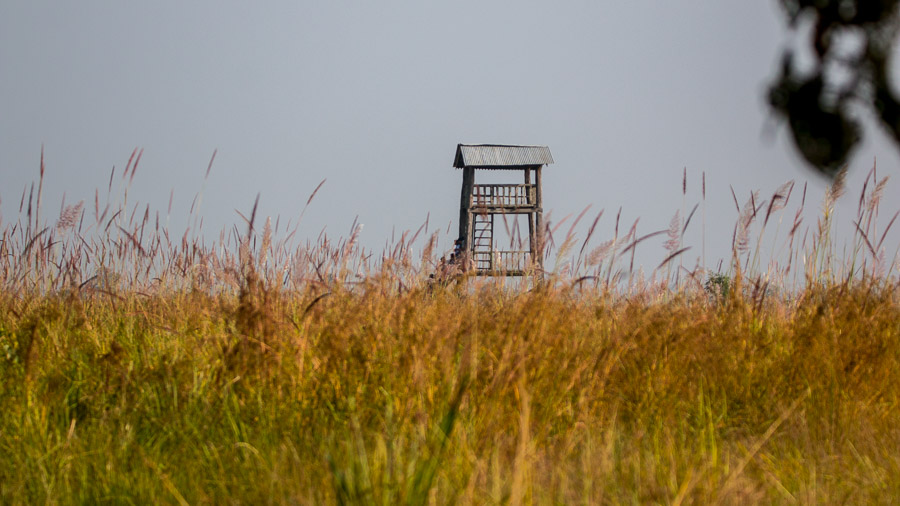 A Machan over the grasslands of Shuklaphanta National Park