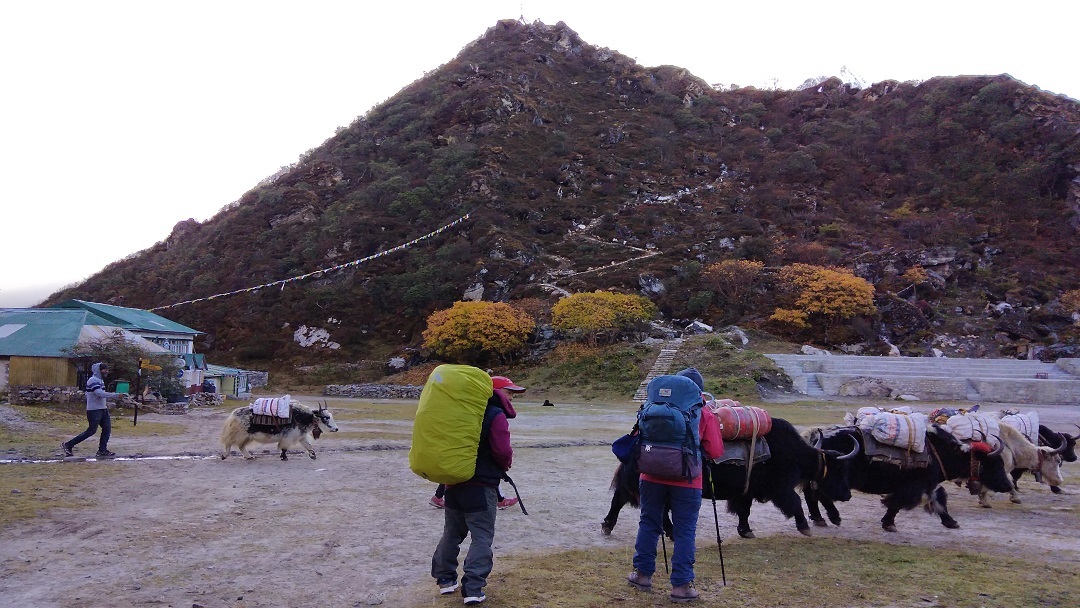 Trekkers in Everest Base Camp Trail