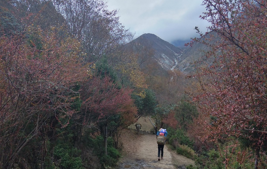 A porter heading towards Tengboche on a beautiful October morning